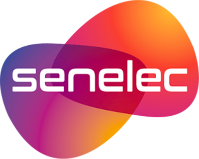 LOGO SENELEC